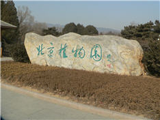 Gardens-At-The-Bejing-Olympics