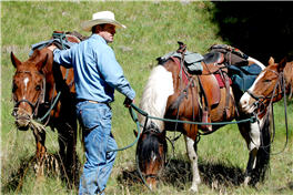 North America Dude Ranch Vacation