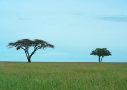 Is It Safe To Travel To Tanzania